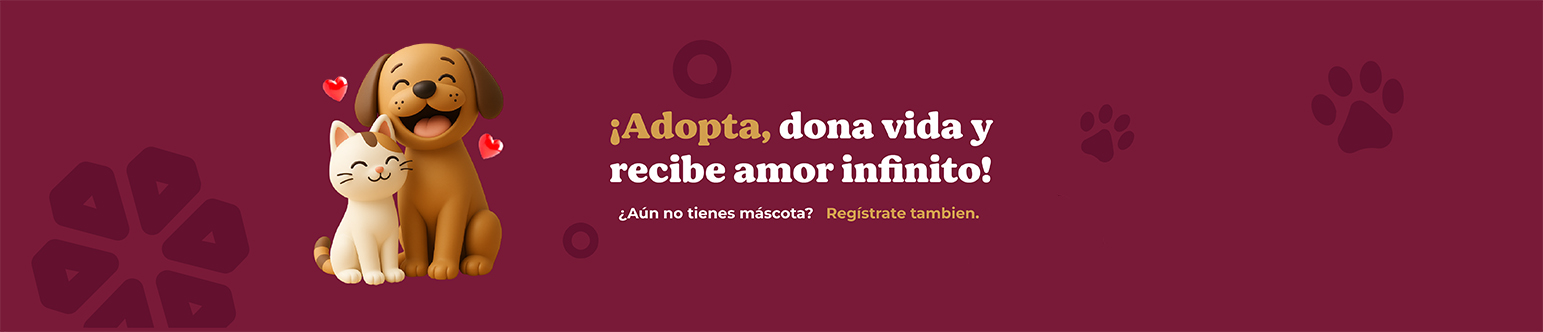 Adopta, dona vida y recibe amor infinito