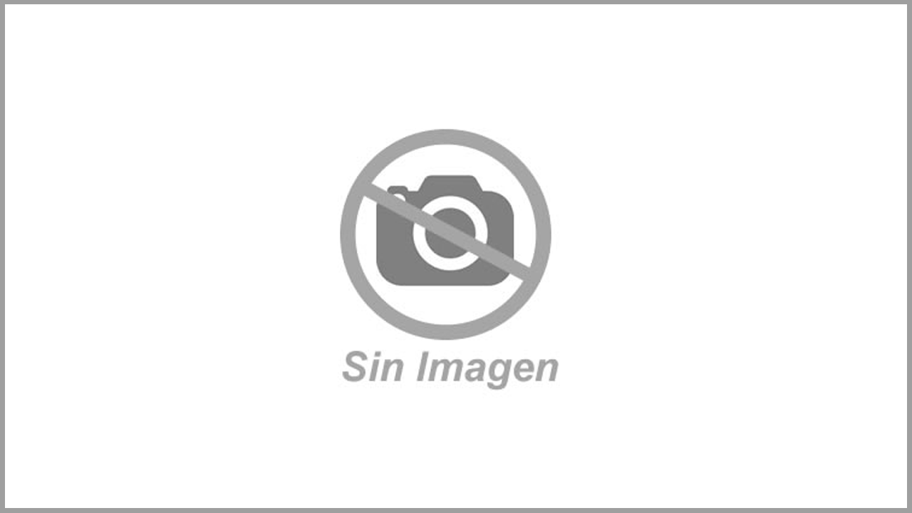 Fotografía de la mascota